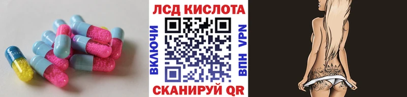 LSD-25 экстази ecstasy  продажа наркотиков  Бердск 