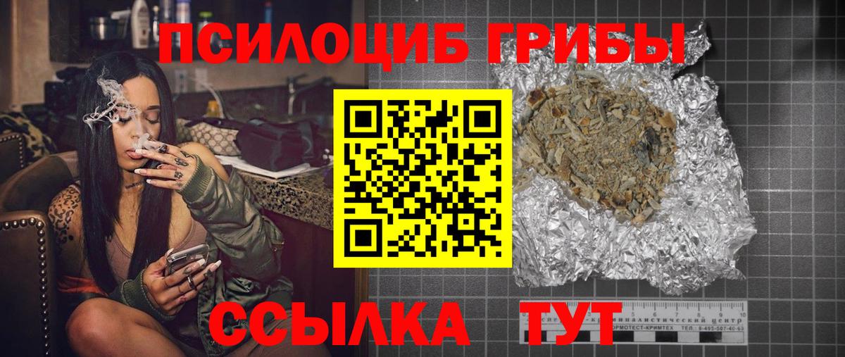 Бердск  Псилоцибиновые грибы Psilocybe  дарнет шоп  Вход с VPN 