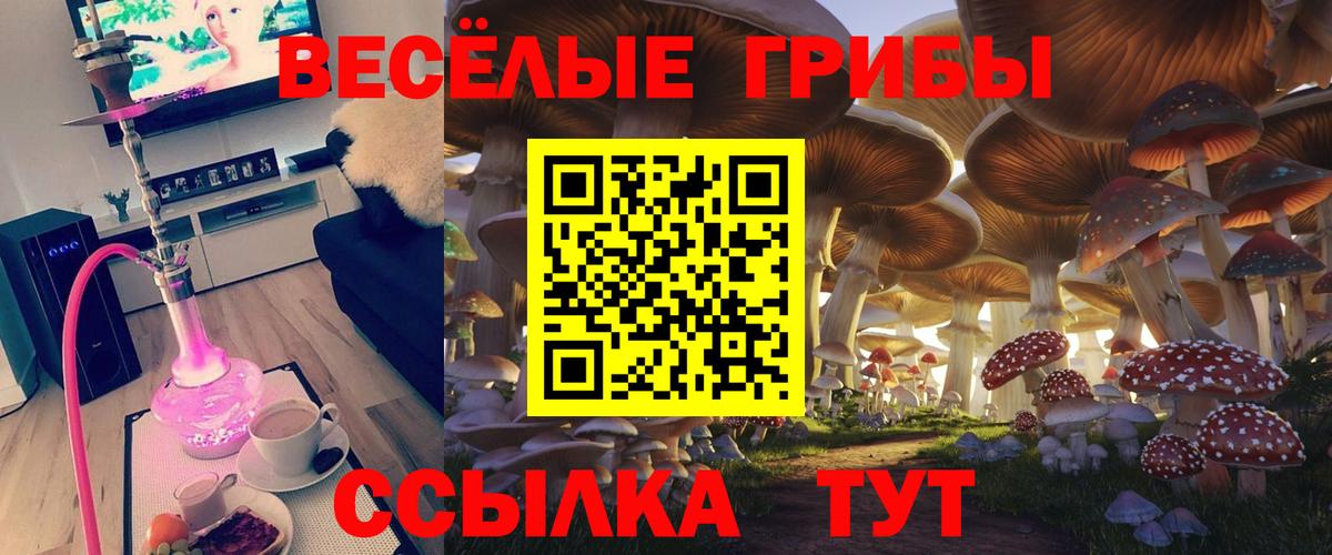 Псилоцибиновые грибы прущие грибы  Бердск 