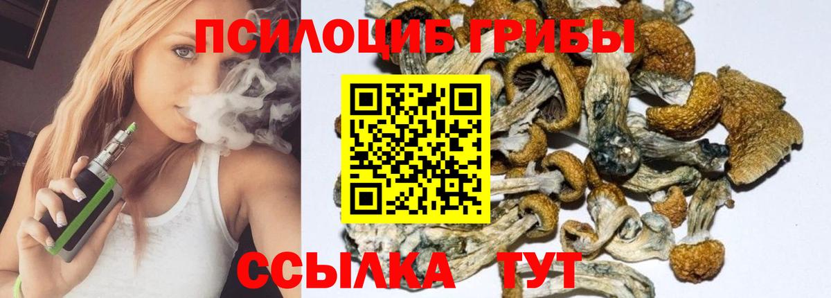 Галлюциногенные грибы GOLDEN TEACHER Бердск